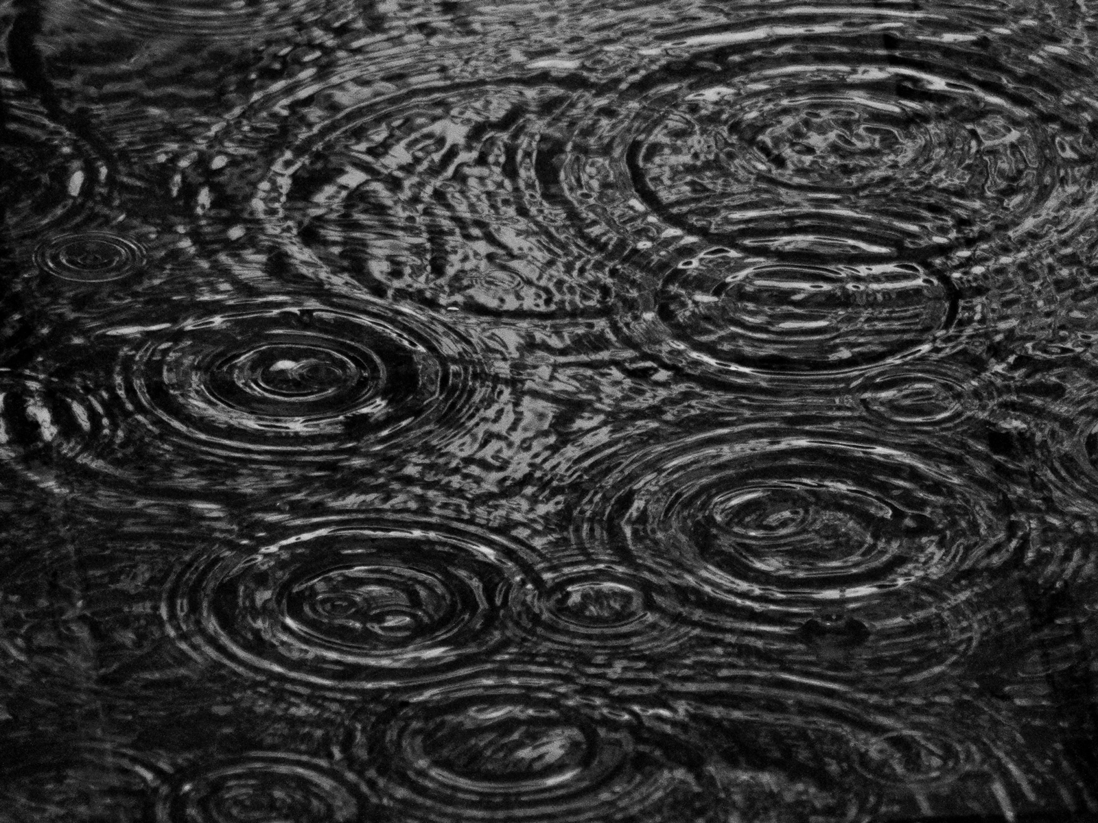 Rainwater harvesting